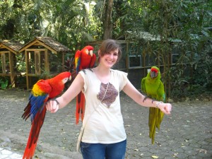 kateryaves, parque aves copan